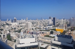 החשמונאים 88 