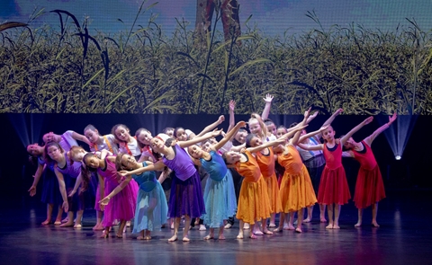 להקות הגיל הרך