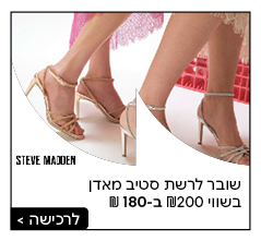 סטיב מדן