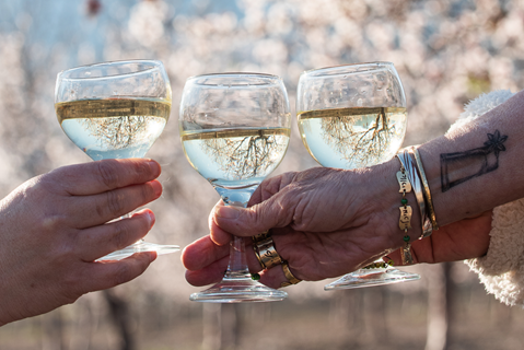 קורס צילום - מצלמה דיגיטלית שלב ב׳