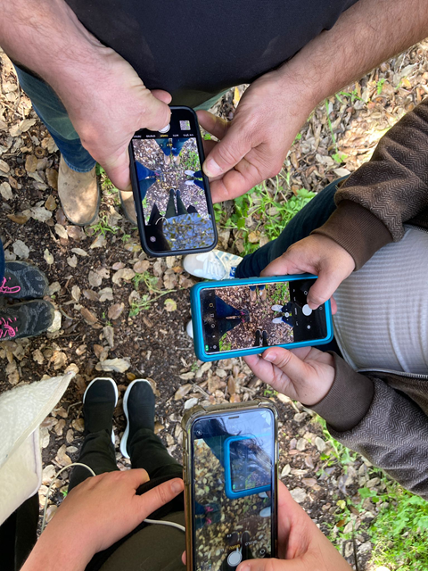 קורס צילום -סמארטפון שלב א׳