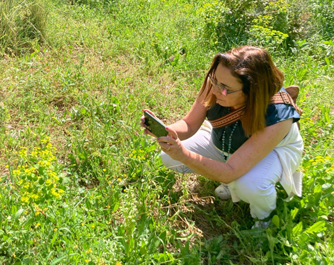 קורס  צילום - סמארטפון שלב ב׳