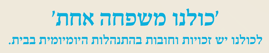 המשחק שיהפוך את מטלות הבית למשחק ילדים.....!