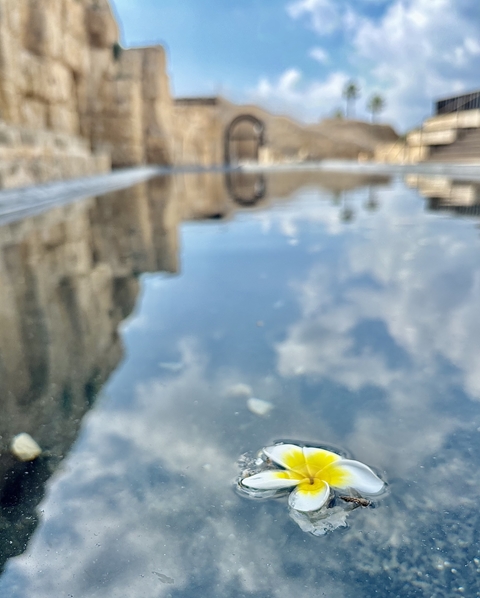 קורס צילום מתקדם בסמארטפון - המקומות אזלו