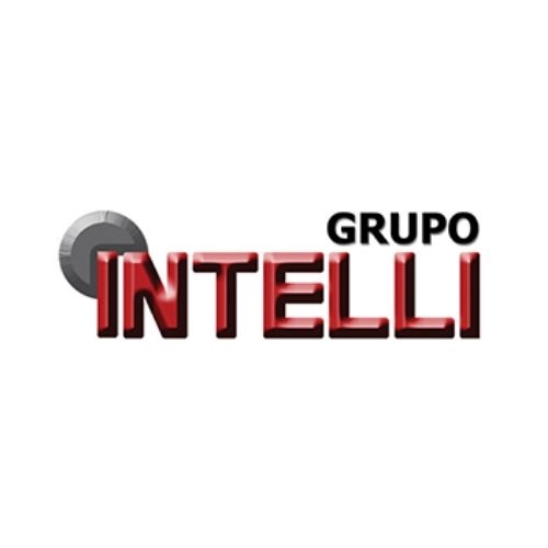 Catálogo Grupo Intelli