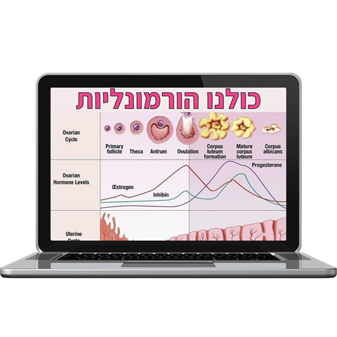 כולנו הורמונליות
