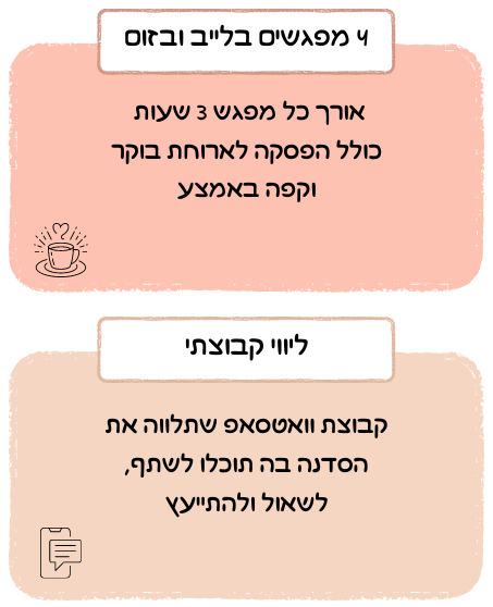 מפגשים וליווי