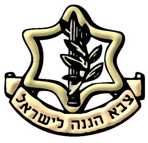 <br/>עושה חיל