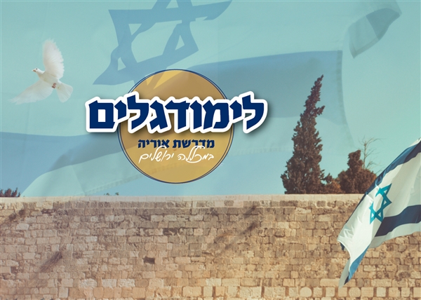 היית בלימודגלים?