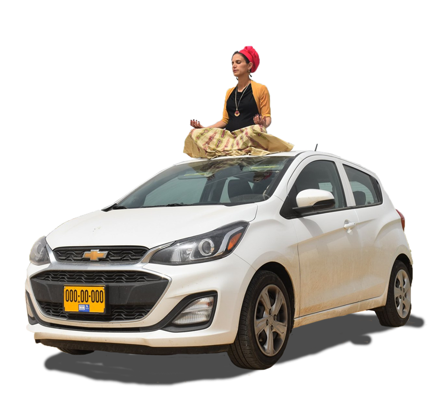 רוני על אוטו