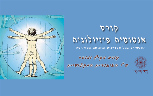רפואה מערבית - אנטומיה פיסיולוגיה ופתולוגיה