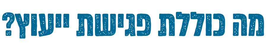 מה כוללת פגישת ייעוץ-נטע פישמן דיזיין סטודיו