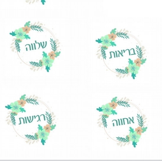 מיזם גיל ערכה 3