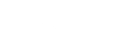 תכנית ליווי ופיתוח הפרויקט