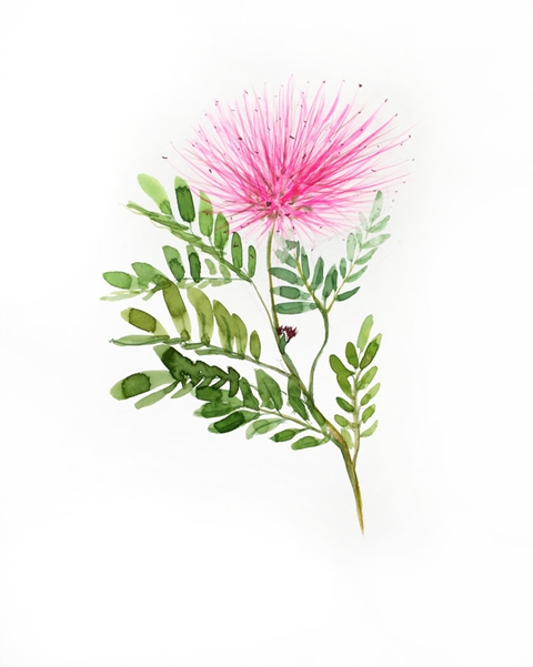 תרגול רוחני