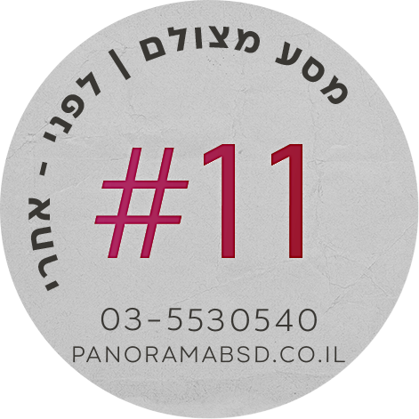 פנורמה מהשטח #7