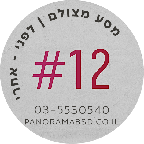 פנורמה מהשטח #7