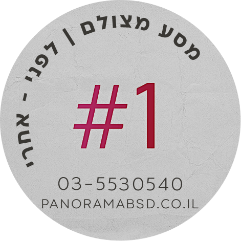 פנורמה מהשטח 1#