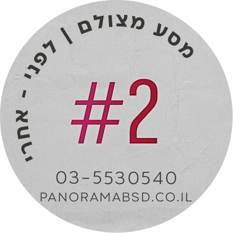 פנורמה מהשטח 2#