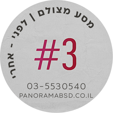 פנורמה מהשטח #3