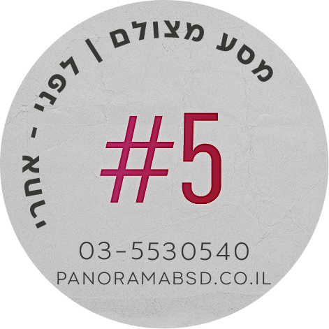 פנורמה מהשטח #5