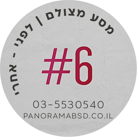 פנורמה מהשטח #6