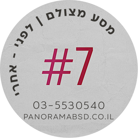 פנורמה מהשטח #7