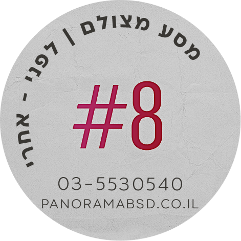 פנורמה מהשטח #8