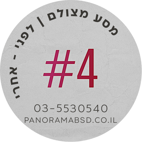 פנורמה מהשטח #4