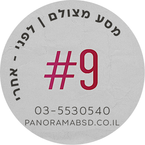 פנורמה מהשטח #7