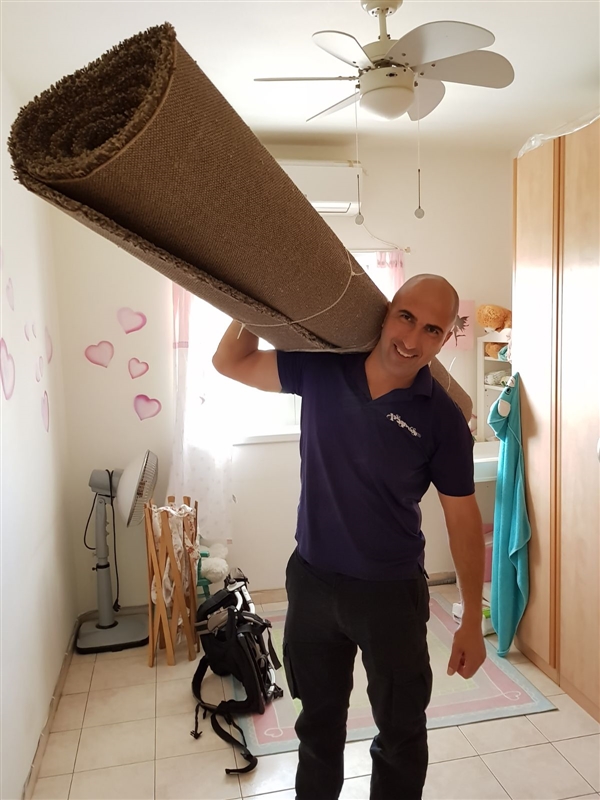 ניקוי שטיחים