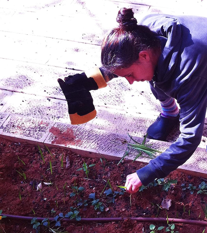 רוני גולקו בת יאיר