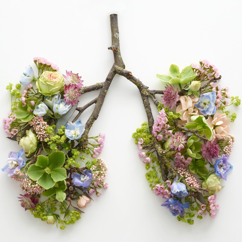 תרגול נשימות