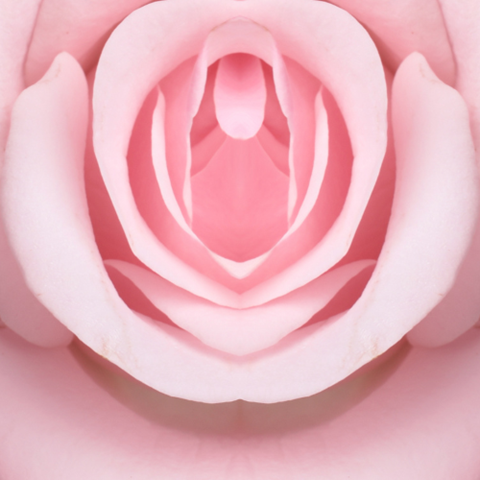 פיסורה/טחורים?