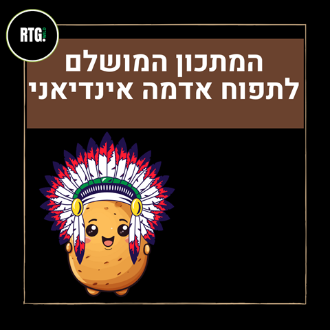 הכנת תפוח אדמה אינדיאני