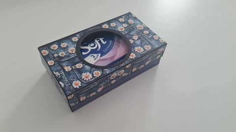 קופסה לטישו