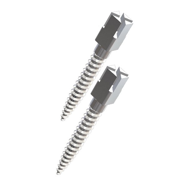 ברגי מבנה Dentatus