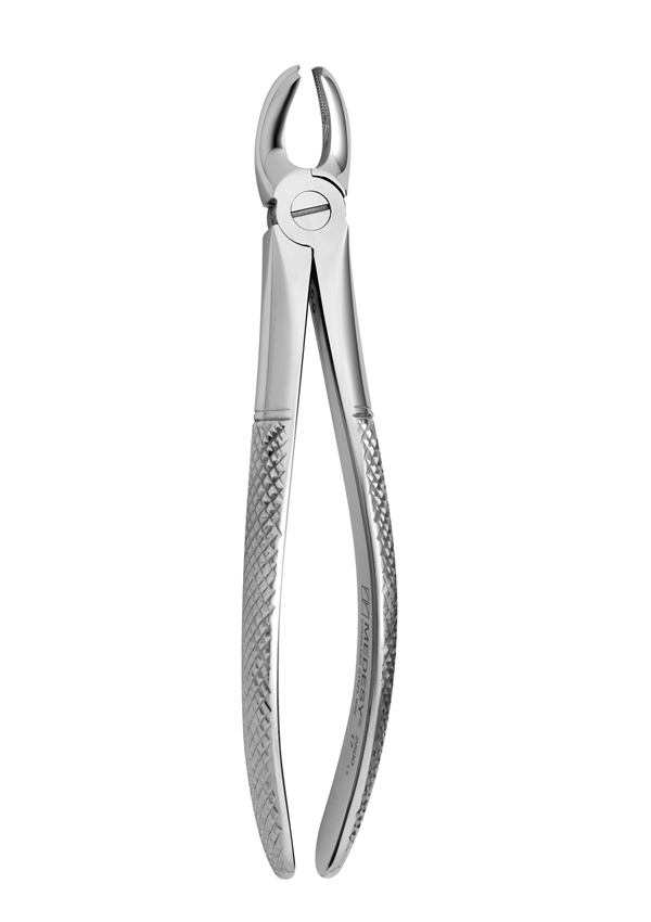 Upper molars, right