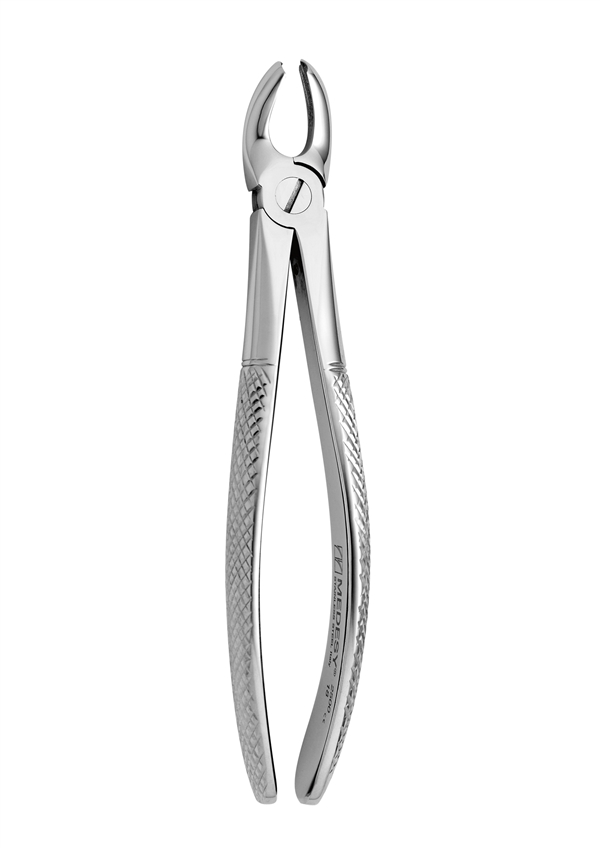 Upper molars, left