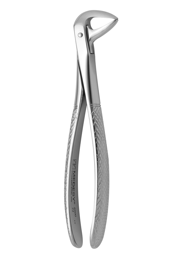 Lower roots and incisors