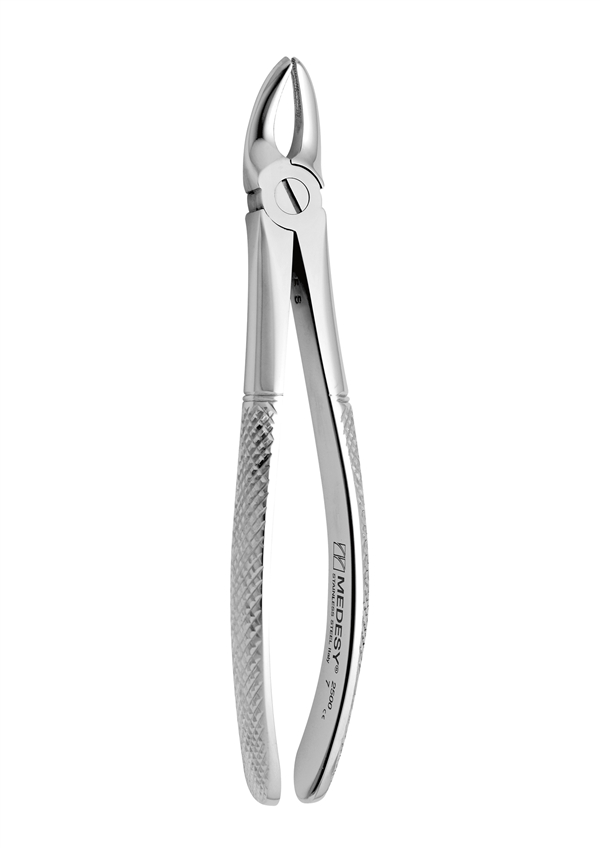 Upper premolars