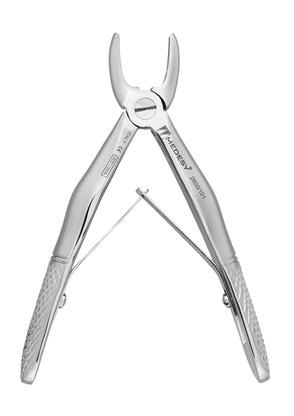 Upper incisors