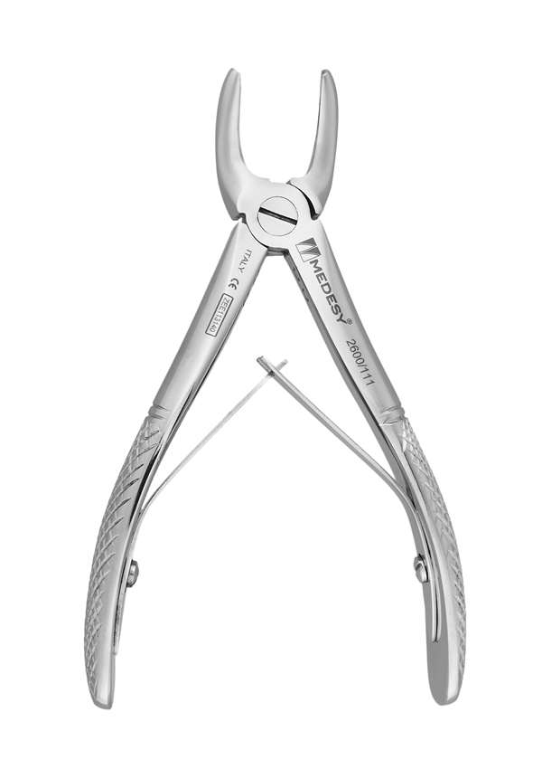 Upper premolars