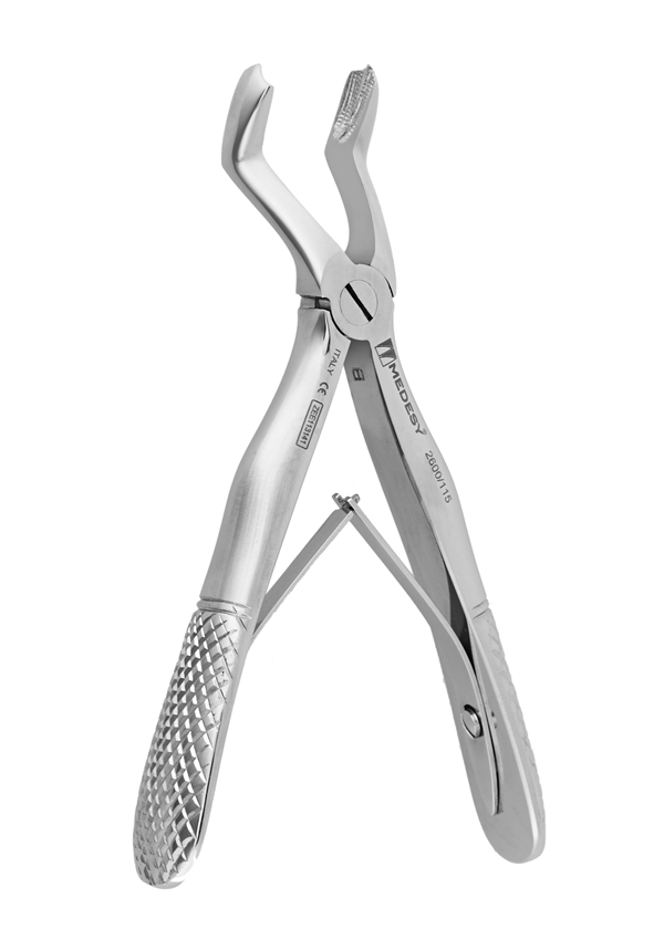 Upper molars