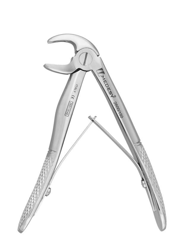 Lower incisors and canines