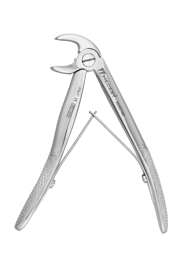 Lower molars and premolars