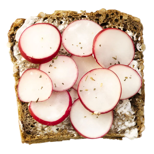  צנון ורוד