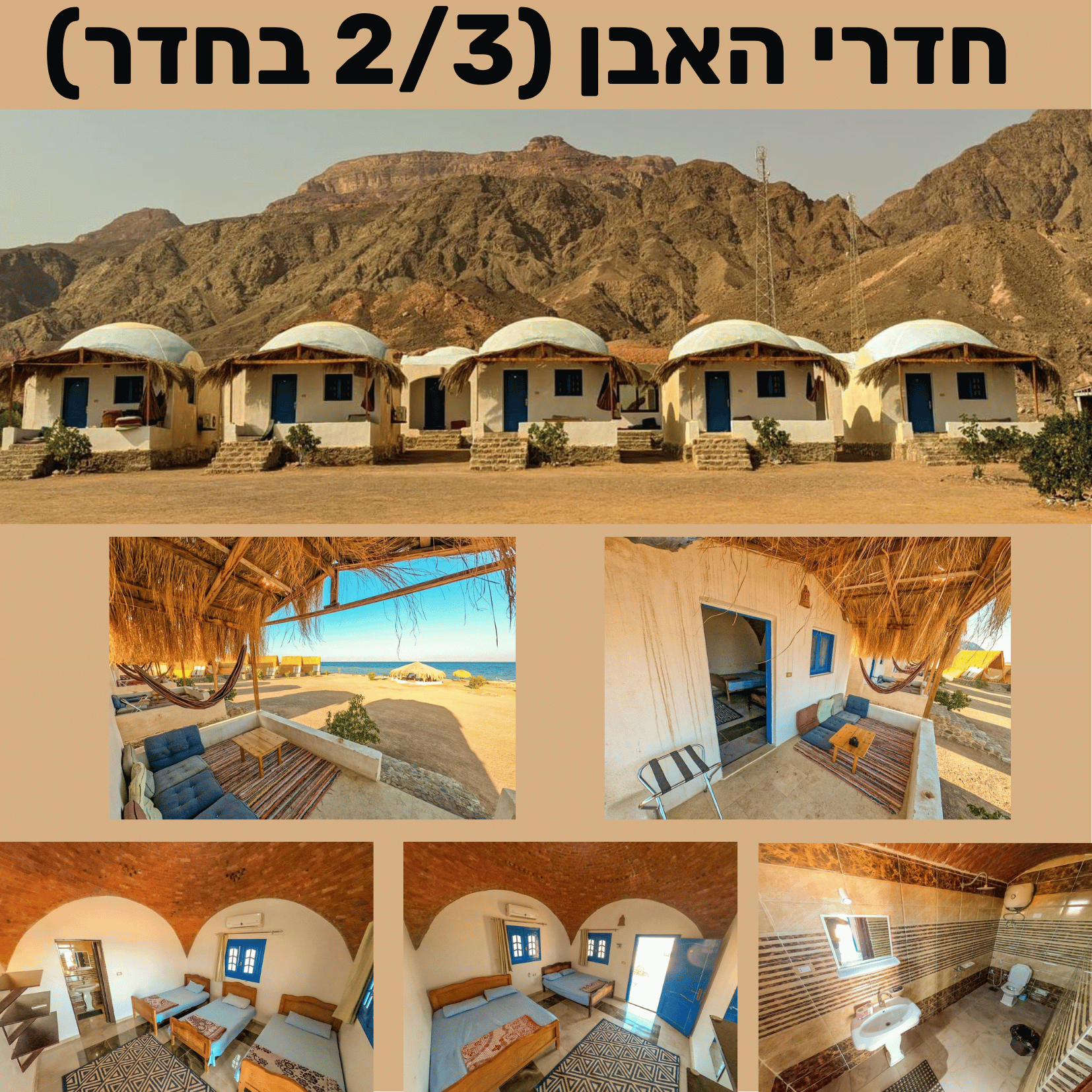 הסויטות החדשות