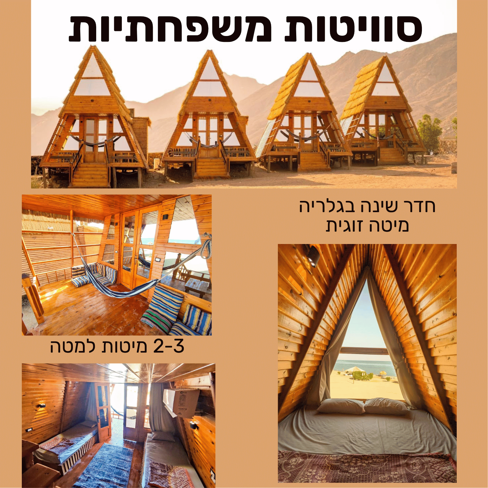 הסויטות החדשות