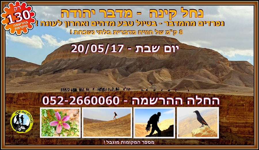 נחל קינה 